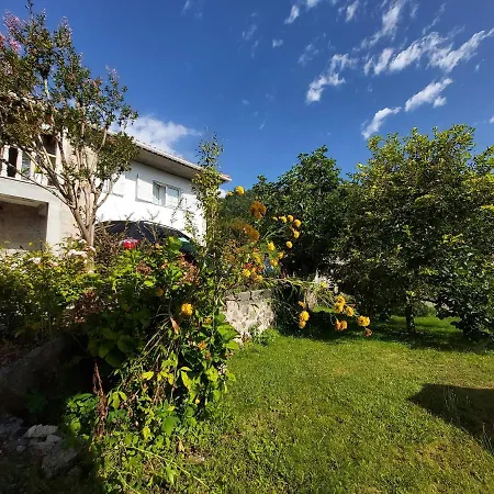 게스트하우스 Castelo Dos Sonhos