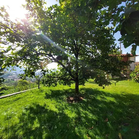 Castelo Dos Sonhos * Valadares (Viseu)