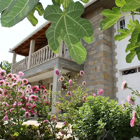 Casa de hóspedes Castelo Dos Sonhos Valadares (Viseu)
