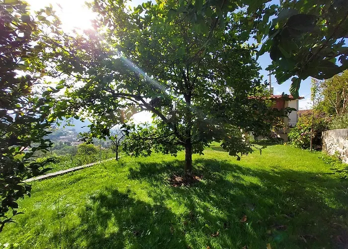 Castelo Dos Sonhos 3* Valadares (Viseu)